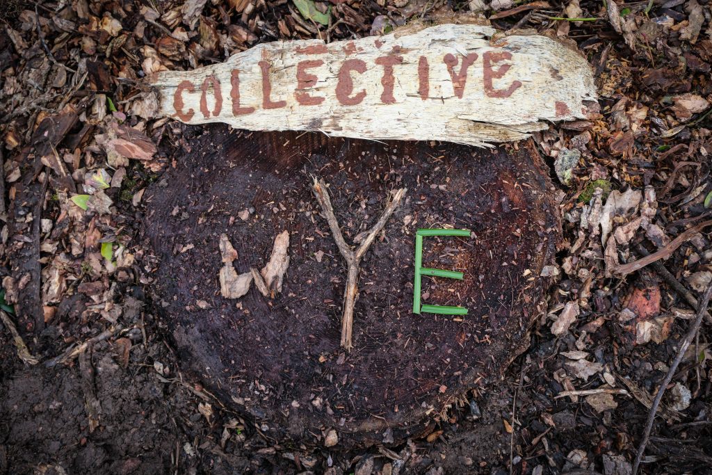 The Collective Wye